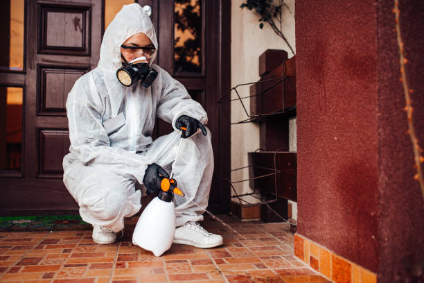 Reliable Termite Control contractor in Pahoa, HI by Nex Pest Control